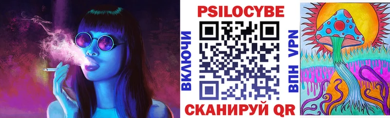 Псилоцибиновые грибы Cubensis сайты даркнета состав Ясногорск